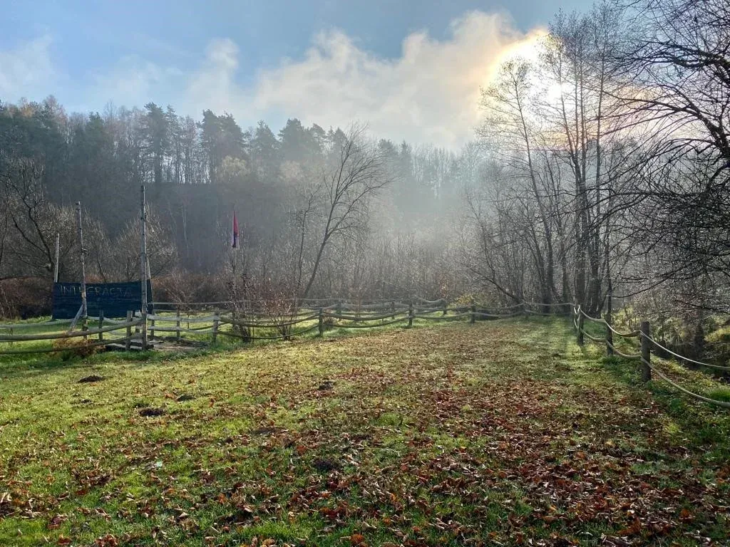 Urodziny w Arenie Mocy